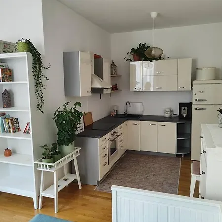 Studio With Balcony In Vinohrady Prag